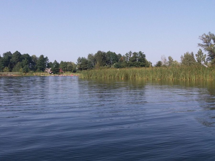 Jezioro i trzcinowy brzeg